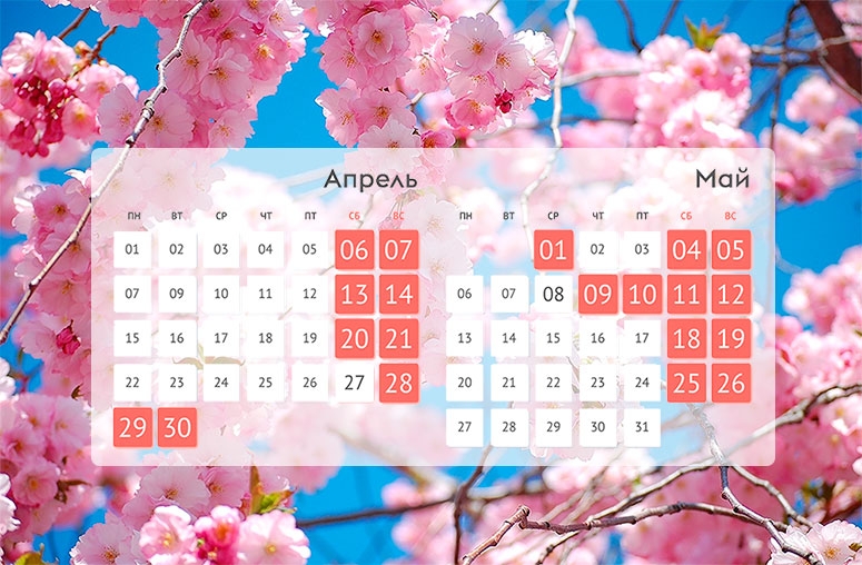 Копи-групп, изображение для Режим работы в майские праздники 2024